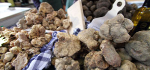 Fiera-Nazionale-Tartufo