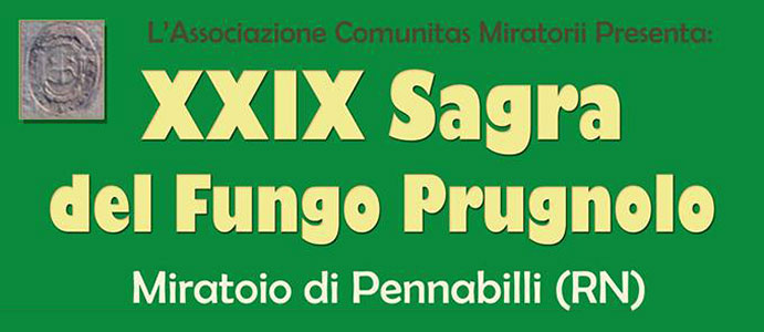 Il fungo della pelle su mani come conservarsi