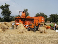 Sagra Batdura