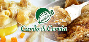 cardo-dolce-di-cervia1