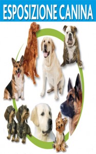 esposizione canina