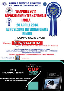 esposizione-canina-2014-big
