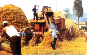 festa-della-trebbiatura