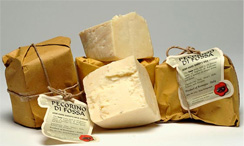 fiera del formaggio