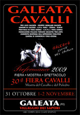 Fiera dei cavalli Galeata 2010