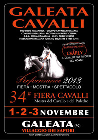 galeata-cavalli