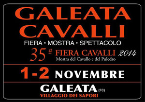 galeata-cavalli