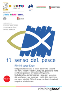 il-senso-del-pesce