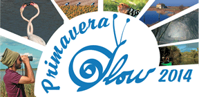 logo_primavera_slow_2014