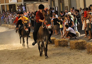 palio-somaro-20161