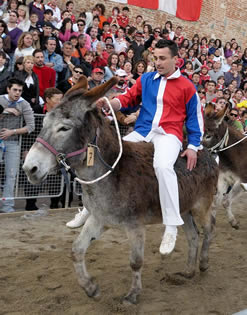 Palio dei Somari ad Alfero