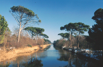 Pinetinsieme, festa dei prodotti del parco