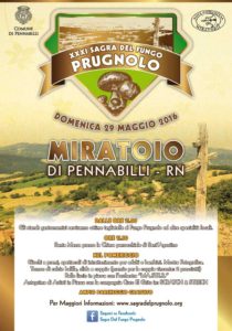 prugnolo-miratoio-2016