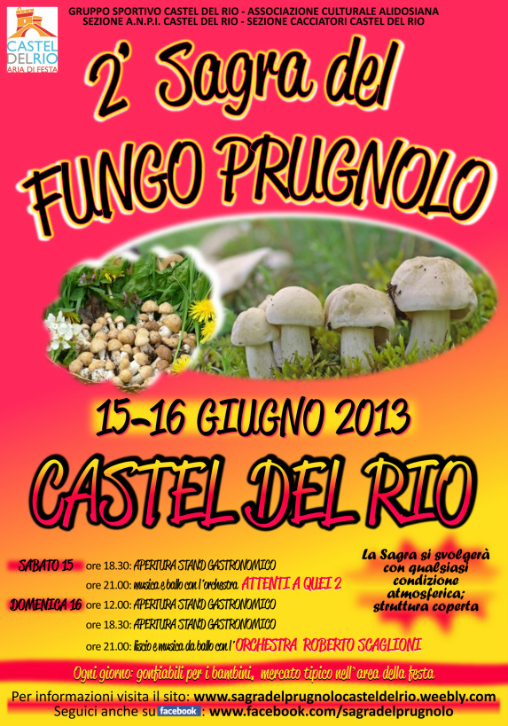 Sagra del fungo prugnolo, Castel del Rio (Bo)