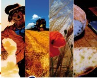 sagra alfonsine 2012