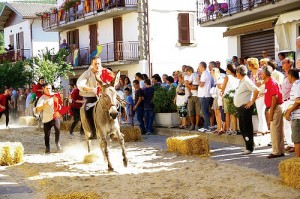 palio dei somari