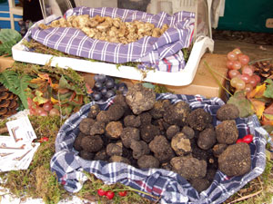 tartufo-brisighella