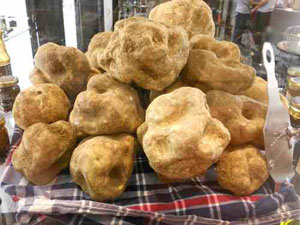 tartufo-pregiato-Cusercoli